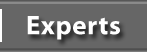Experts